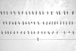 薄毛の進行を止めるために知っておくべきポイントは？